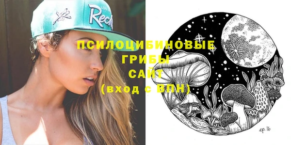 меф Бердск