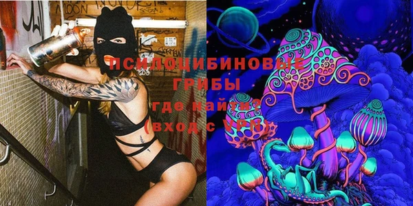 тгк Артём