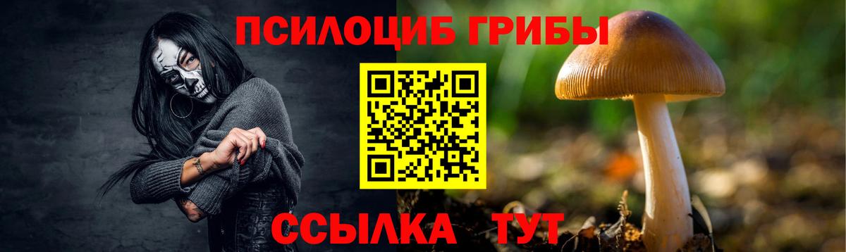 Псилоцибиновые грибы мухоморы Феодосия